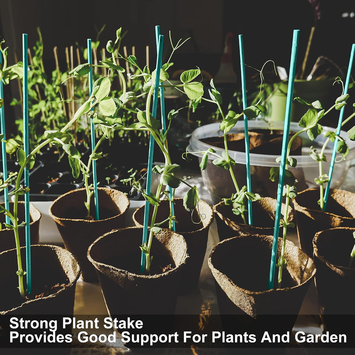 50 PCS 18” Wood Plant Stakes Garden Tomato Sticks Plant Stakes & Supports for Potted Plants, Comes with 100 pcs Green Twist tie