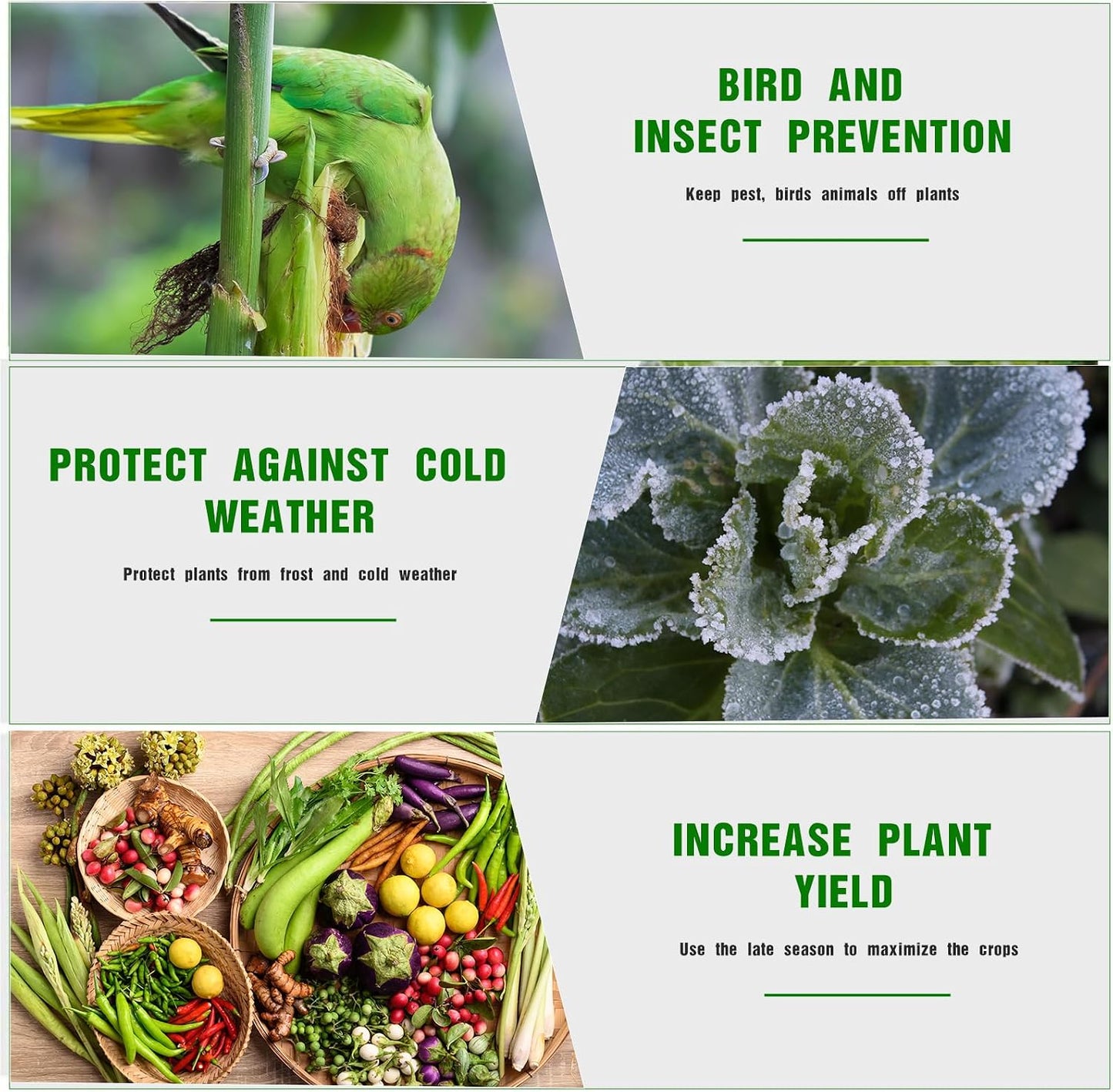 8 x 100 ft Plant Covers Freeze Protection