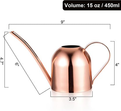Stainless Steel Watering Can, Small Modern Style Watering Pot, 15oz/450ml Plant Watering Can with Long Spout to Prevent Spillage, Perfect for Outdoor and Indoor Plants (Copper)