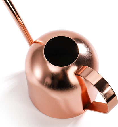 Stainless Steel Watering Can, Small Modern Style Watering Pot, 15oz/450ml Plant Watering Can with Long Spout to Prevent Spillage, Perfect for Outdoor and Indoor Plants (Copper)