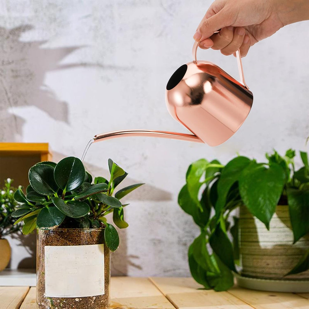 Stainless Steel Watering Can, Small Modern Style Watering Pot, 15oz/450ml Plant Watering Can with Long Spout to Prevent Spillage, Perfect for Outdoor and Indoor Plants (Copper)