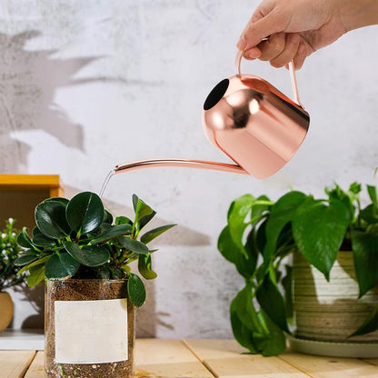 Stainless Steel Watering Can, Small Modern Style Watering Pot, 15oz/450ml Plant Watering Can with Long Spout to Prevent Spillage, Perfect for Outdoor and Indoor Plants (Copper)
