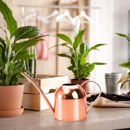 Stainless Steel Watering Can, Small Modern Style Watering Pot, 15oz/450ml Plant Watering Can with Long Spout to Prevent Spillage, Perfect for Outdoor and Indoor Plants (Copper)