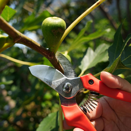 7" Pruning Shears Heavy Duty Professional, Made of Japanese SK5 Steel Blades, 4/5 Cut Capacity, Bypass Hand Pruners Garden Clippers for Tree Flower Branch Trimming, S20E
