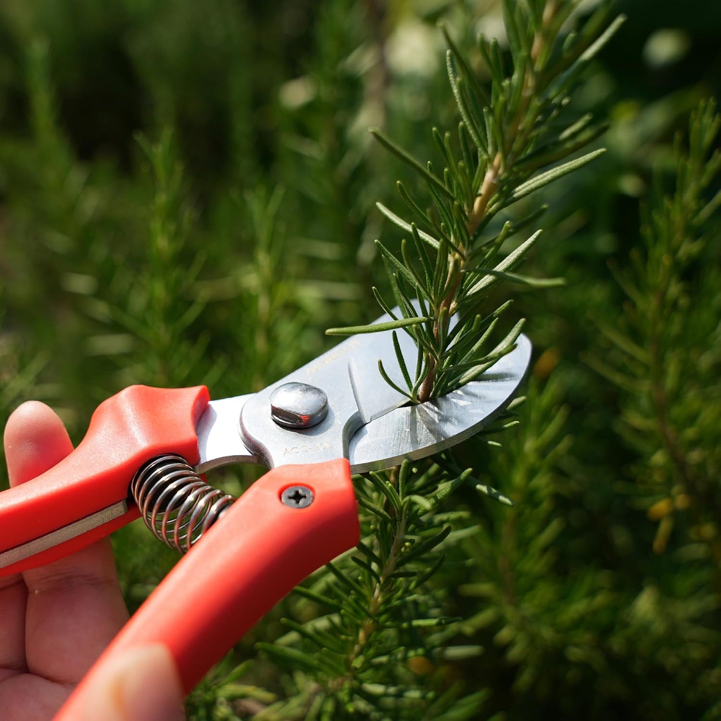 7" Pruning Shears Heavy Duty Professional, Made of Japanese SK5 Steel Blades, 4/5 Cut Capacity, Bypass Hand Pruners Garden Clippers for Tree Flower Branch Trimming, S20E