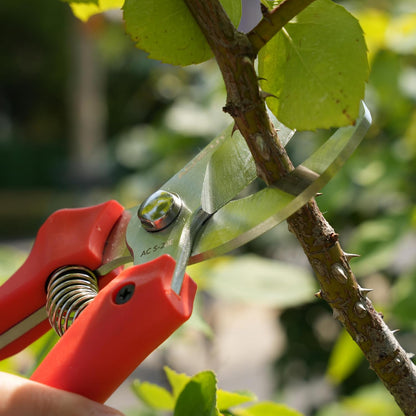 7" Pruning Shears Heavy Duty Professional, Made of Japanese SK5 Steel Blades, 4/5 Cut Capacity, Bypass Hand Pruners Garden Clippers for Tree Flower Branch Trimming, S20E