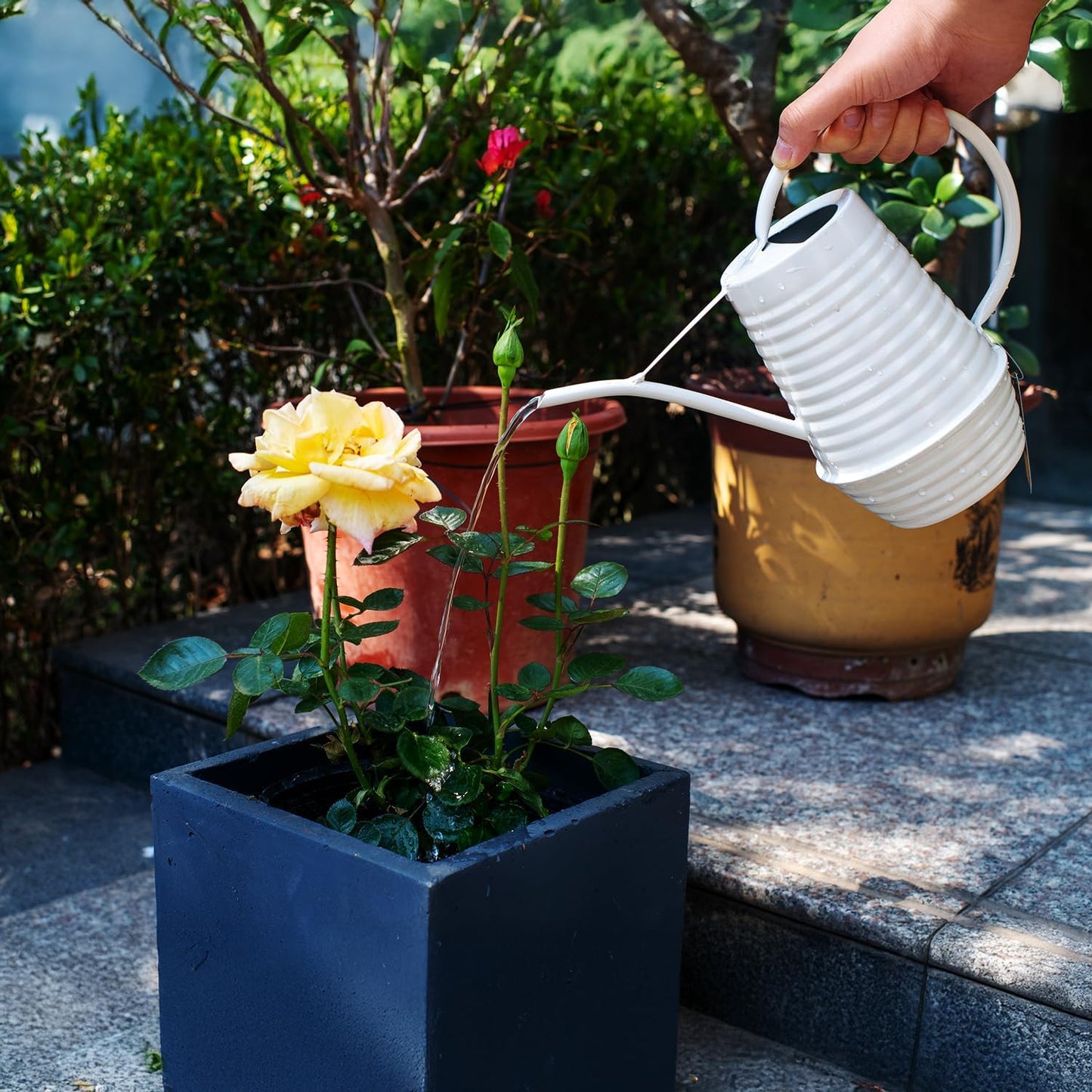 Small Watering Can, Matte Cream White, 34oz., Metal Watering Can with Long Spout, Nice Indoor Water Can, Plant Water Can for Indoor Plants
