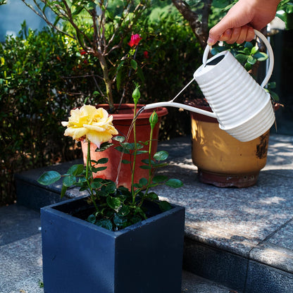 Small Watering Can, Matte Cream White, 34oz., Metal Watering Can with Long Spout, Nice Indoor Water Can, Plant Water Can for Indoor Plants
