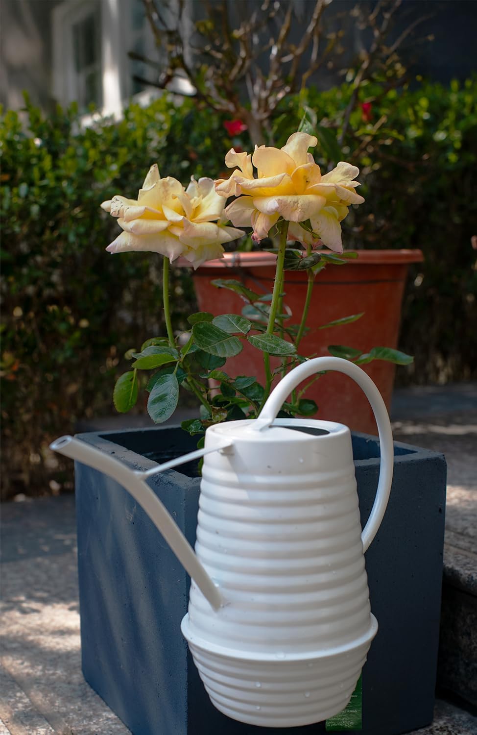 Small Watering Can, Matte Cream White, 34oz., Metal Watering Can with Long Spout, Nice Indoor Water Can, Plant Water Can for Indoor Plants