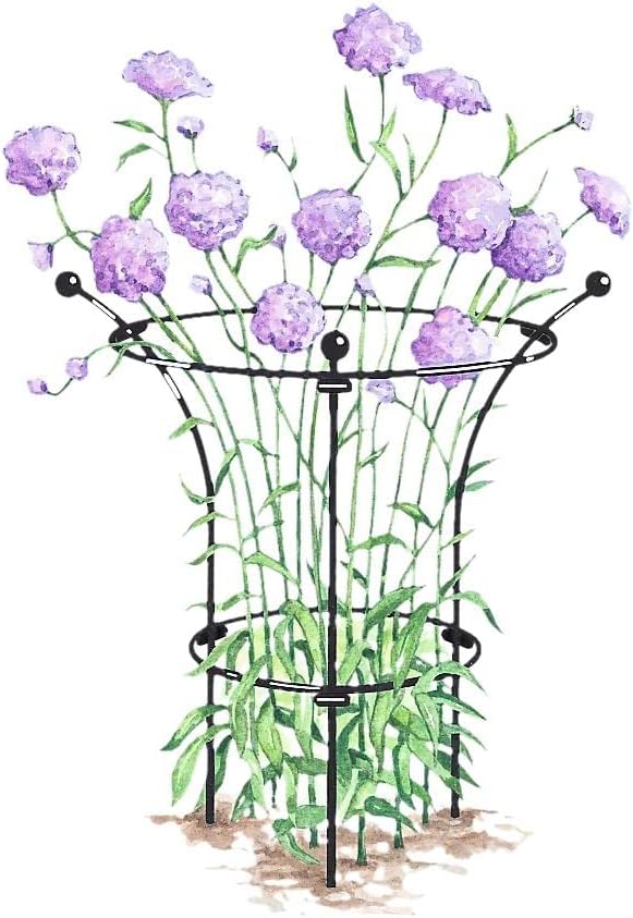 Essex Plant Support | Sturdy Metal Frame for Peonies & Roses | Standing Flower Garden Cage | Natural Bouquet Shape | Small 23" H X 14" D (Set of 2)