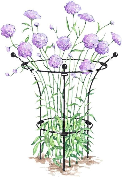 Essex Plant Support | Sturdy Metal Frame for Peonies & Roses | Standing Flower Garden Cage | Natural Bouquet Shape | Small 23" H X 14" D (Set of 2)