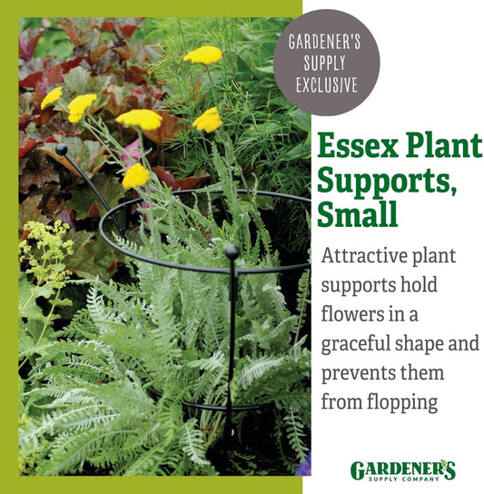 Essex Plant Support | Sturdy Metal Frame for Peonies & Roses | Standing Flower Garden Cage | Natural Bouquet Shape | Small 23" H X 14" D (Set of 2)