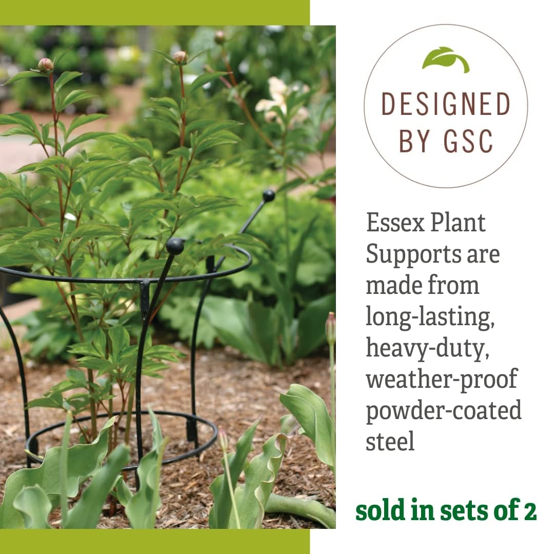 Essex Plant Support | Sturdy Metal Frame for Peonies & Roses | Standing Flower Garden Cage | Natural Bouquet Shape | Small 23" H X 14" D (Set of 2)