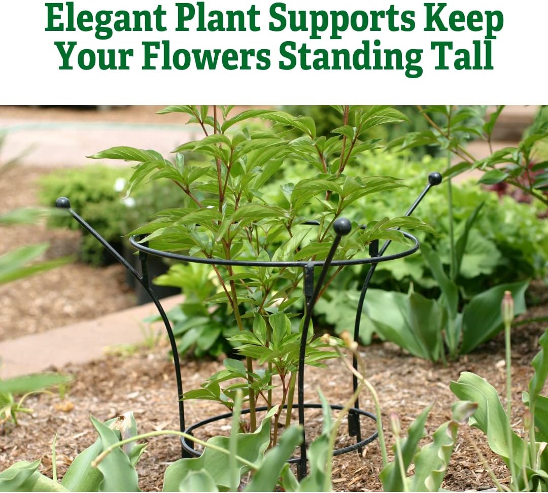 Essex Plant Support | Sturdy Metal Frame for Peonies & Roses | Standing Flower Garden Cage | Natural Bouquet Shape | Small 23" H X 14" D (Set of 2)