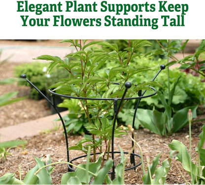 Essex Plant Support | Sturdy Metal Frame for Peonies & Roses | Standing Flower Garden Cage | Natural Bouquet Shape | Small 23" H X 14" D (Set of 2)