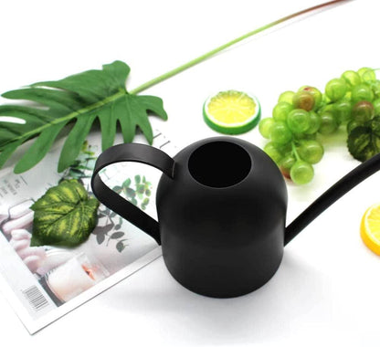 Small Watering Can for Indoor Plants, 15oz/450ml Stainless Steel Long Spout Watering Can for Succulents, Herbs (Black)