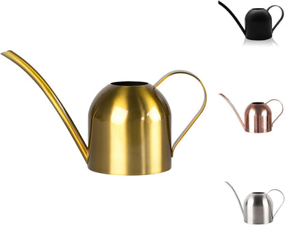 Small Watering Can for Indoor Plants, 15oz/450ml Stainless Steel Long Spout Watering Can for Succulents, Herbs (Black)