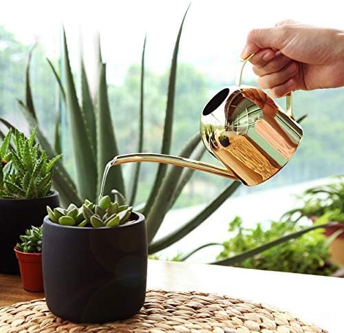 Small Watering Can for Indoor Plants, 15oz/450ml Stainless Steel Long Spout Watering Can for Succulents, Herbs (Black)