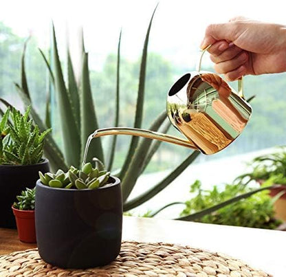 Small Watering Can for Indoor Plants, 15oz/450ml Stainless Steel Long Spout Watering Can for Succulents, Herbs (Black)
