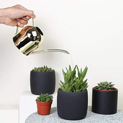 Small Watering Can for Indoor Plants, 15oz/450ml Stainless Steel Long Spout Watering Can for Succulents, Herbs (Black)