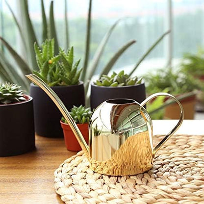 Small Watering Can for Indoor Plants, 15oz/450ml Stainless Steel Long Spout Watering Can for Succulents, Herbs (Black)