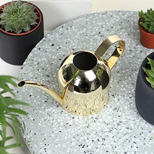 Small Watering Can for Indoor Plants, 15oz/450ml Stainless Steel Long Spout Watering Can for Succulents, Herbs (Black)