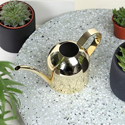 Small Watering Can for Indoor Plants, 15oz/450ml Stainless Steel Long Spout Watering Can for Succulents, Herbs (Black)