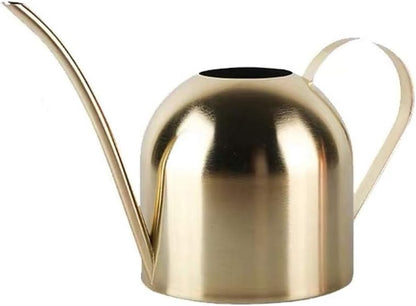 Small Watering Can for Indoor Plants, 15oz/450ml Stainless Steel Long Spout Watering Can for Succulents, Herbs (Black)
