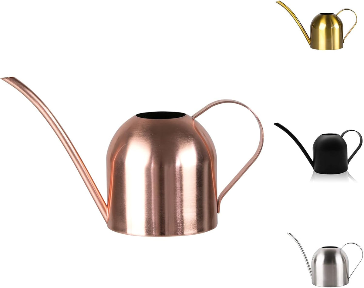Small Watering Can for Indoor Plants, 15oz/450ml Stainless Steel Long Spout Watering Can for Succulents, Herbs (Black)