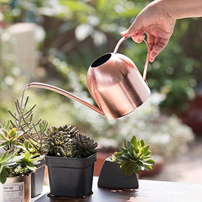 Small Watering Can for Indoor Plants, 15oz/450ml Stainless Steel Long Spout Watering Can for Succulents, Herbs (Black)