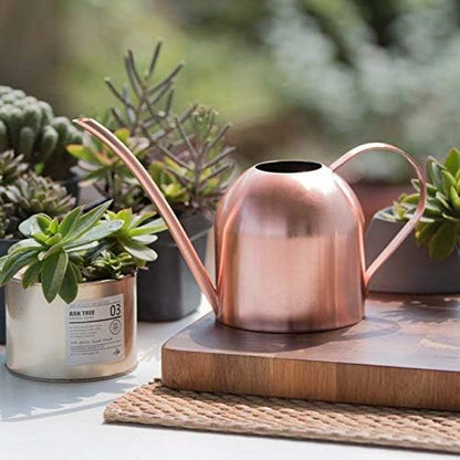 Small Watering Can for Indoor Plants, 15oz/450ml Stainless Steel Long Spout Watering Can for Succulents, Herbs (Black)