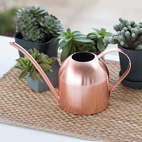 Small Watering Can for Indoor Plants, 15oz/450ml Stainless Steel Long Spout Watering Can for Succulents, Herbs (Black)