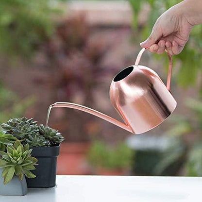 Small Watering Can for Indoor Plants, 15oz/450ml Stainless Steel Long Spout Watering Can for Succulents, Herbs (Black)