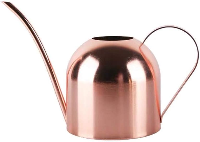 Small Watering Can for Indoor Plants, 15oz/450ml Stainless Steel Long Spout Watering Can for Succulents, Herbs (Black)