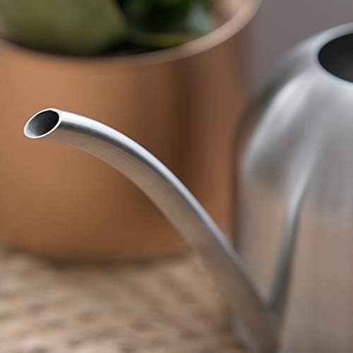 Small Watering Can for Indoor Plants, 15oz/450ml Stainless Steel Long Spout Watering Can for Succulents, Herbs (Black)