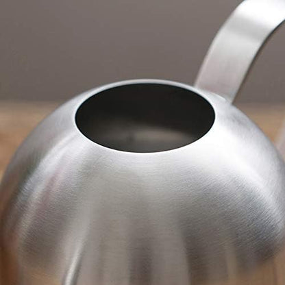 Small Watering Can for Indoor Plants, 15oz/450ml Stainless Steel Long Spout Watering Can for Succulents, Herbs (Black)