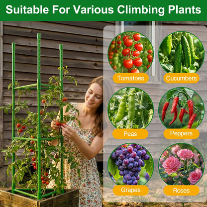6 Pack Tomato Cages for Garden, Up to 51 Inch Tomato Trellis for Raised Garden Bed, Plant Stakes for Pots, Durable Tomato Plant Support Garden Stakes for Climbing Plants