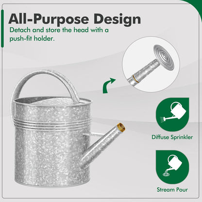 Galvanized Iron Watering Can for Indoor Plants, Oval Watering Cans for House Plant Garden Flower, Long Spout Water Can for Outdoor Watering Plants 9.46L 2.5 Gallon