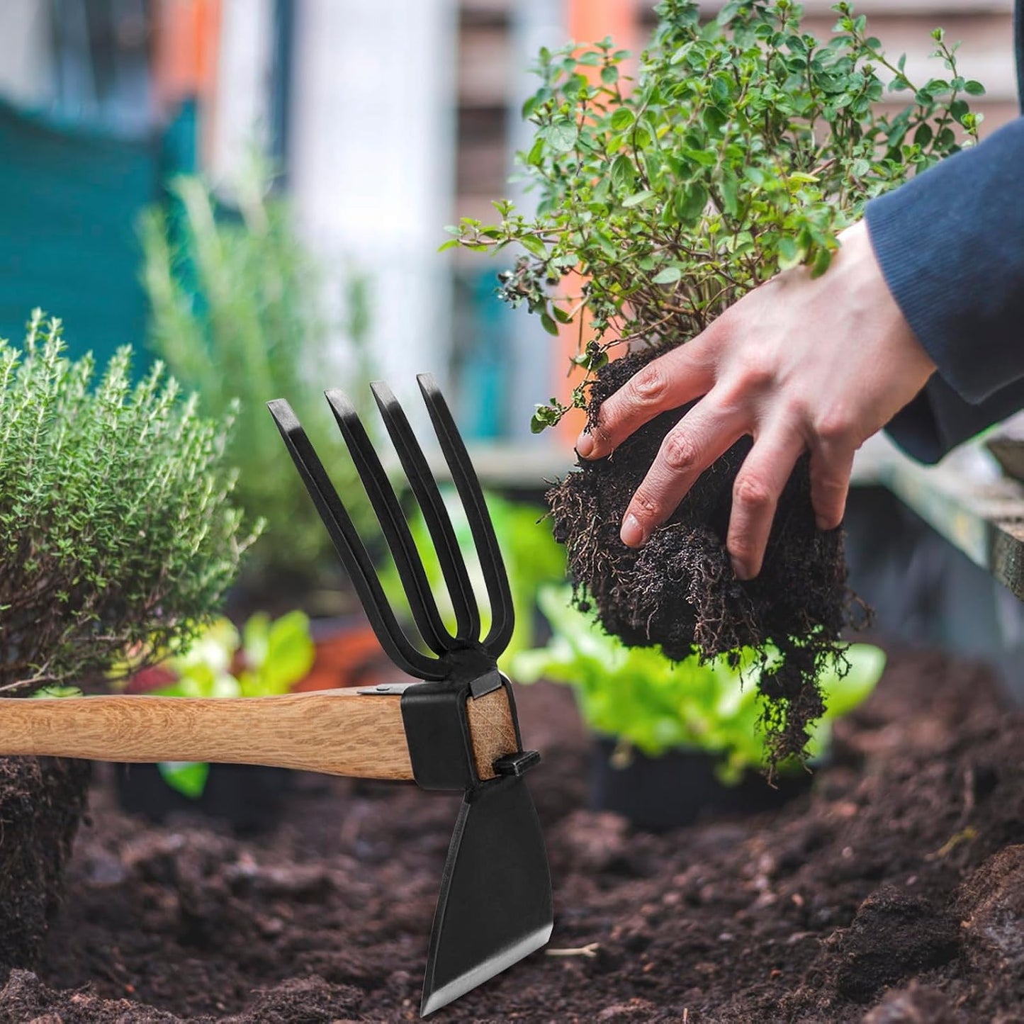 Hoe Garden Tool, Japanese Weeding Hoe