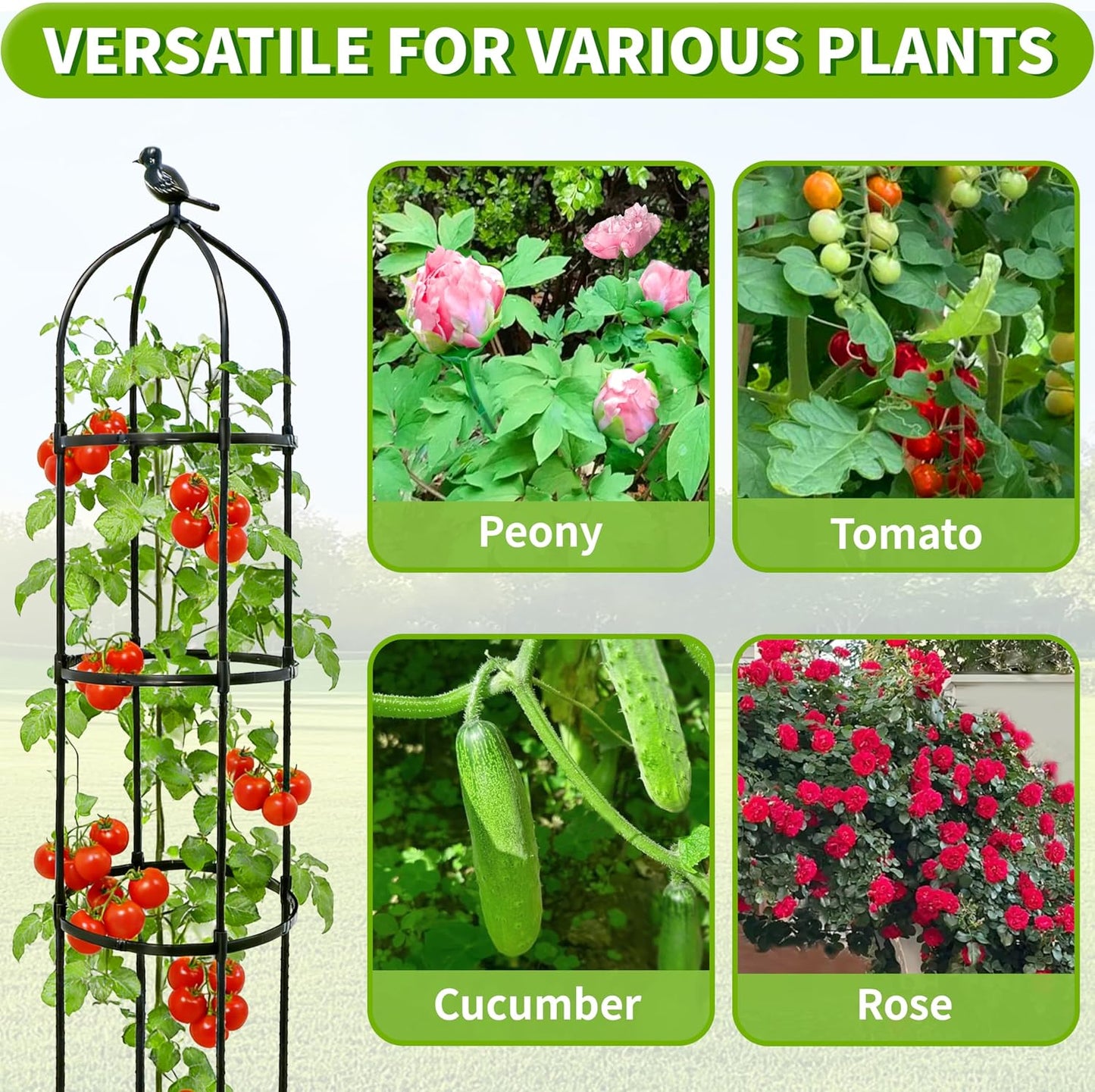 2-Pack 6FT Garden Obelisk Trellis for Climbing Plants,Adjustable 4-Tier Metal Plant Support,Rustproof Outdoor Plant Tower with 3 Decorative Tops for Roses,Tomatoes,Clematis & Vines,Black