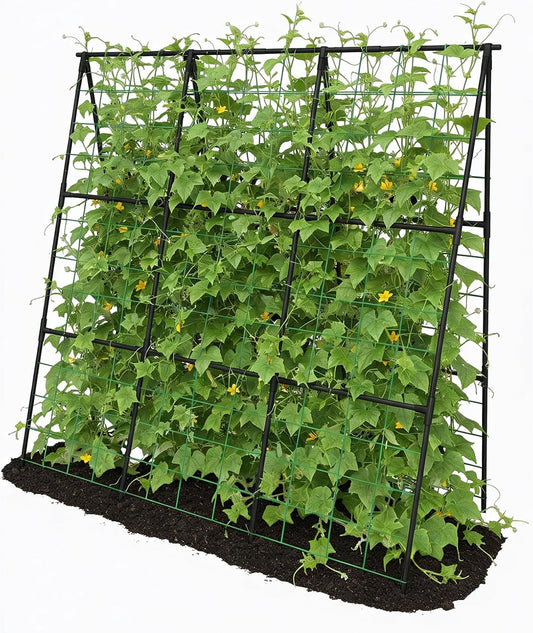 Cucumber Trellis - 49.4"*49.4" Metal Garden Trellis for Climbing Plants, Garden Trellis with Plastic-Coated Steel Pipe, A Frame Trellis for Cucumbers, Peas, Morning Glories(Black)