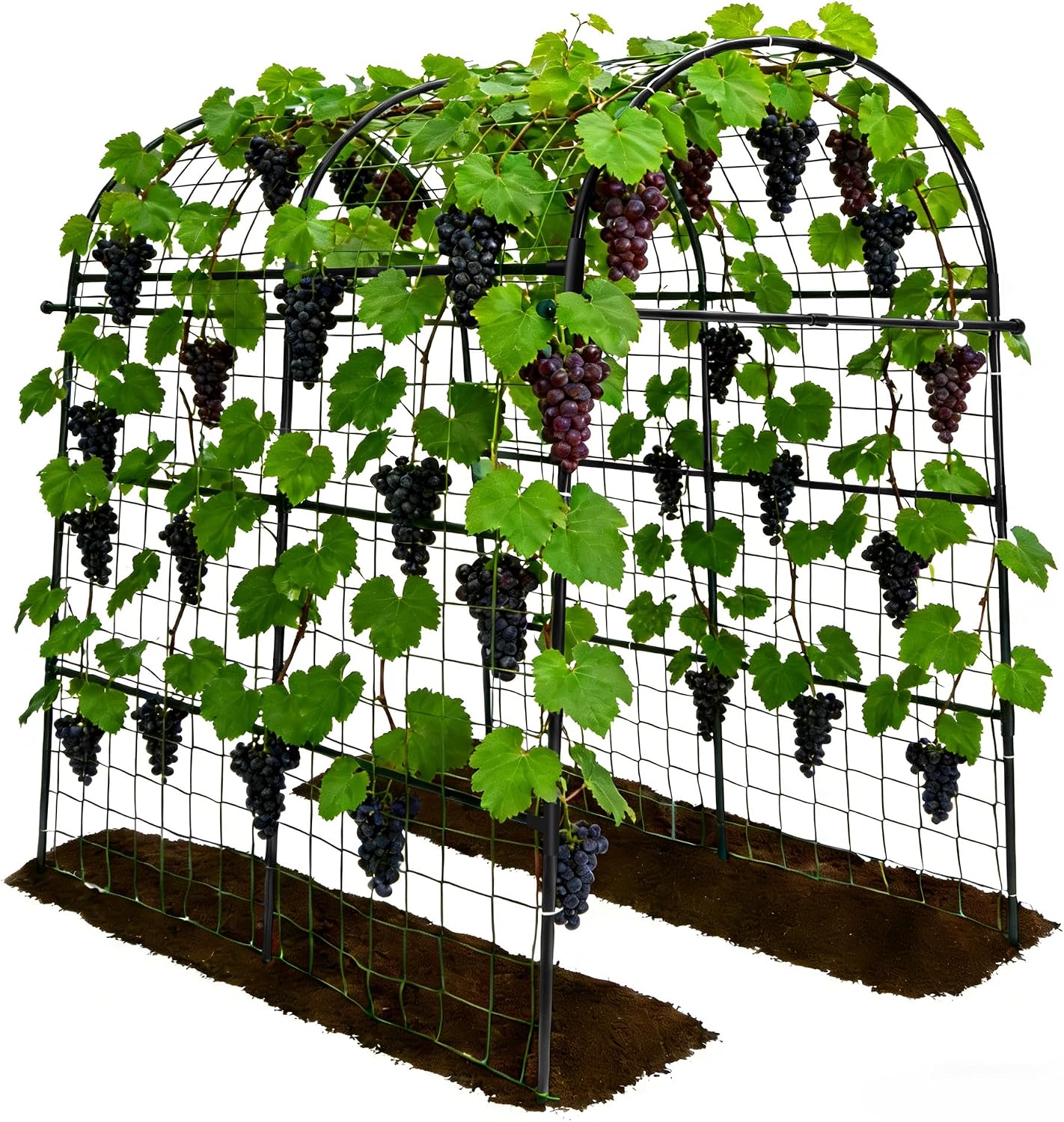 Cucumber Trellis - 49.4"*49.4" Metal Garden Trellis for Climbing Plants, Garden Trellis with Plastic-Coated Steel Pipe, A Frame Trellis for Cucumbers, Peas, Morning Glories(Black)