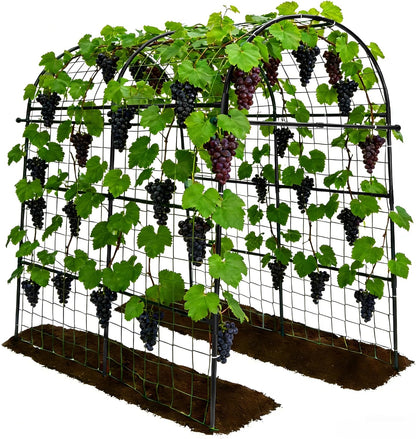 Cucumber Trellis - 49.4"*49.4" Metal Garden Trellis for Climbing Plants, Garden Trellis with Plastic-Coated Steel Pipe, A Frame Trellis for Cucumbers, Peas, Morning Glories(Black)