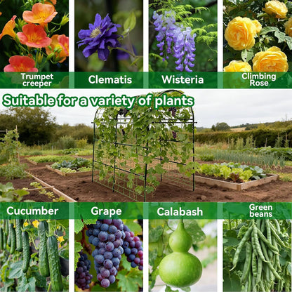 Cucumber Trellis - 49.4"*49.4" Metal Garden Trellis for Climbing Plants, Garden Trellis with Plastic-Coated Steel Pipe, A Frame Trellis for Cucumbers, Peas, Morning Glories(Black)