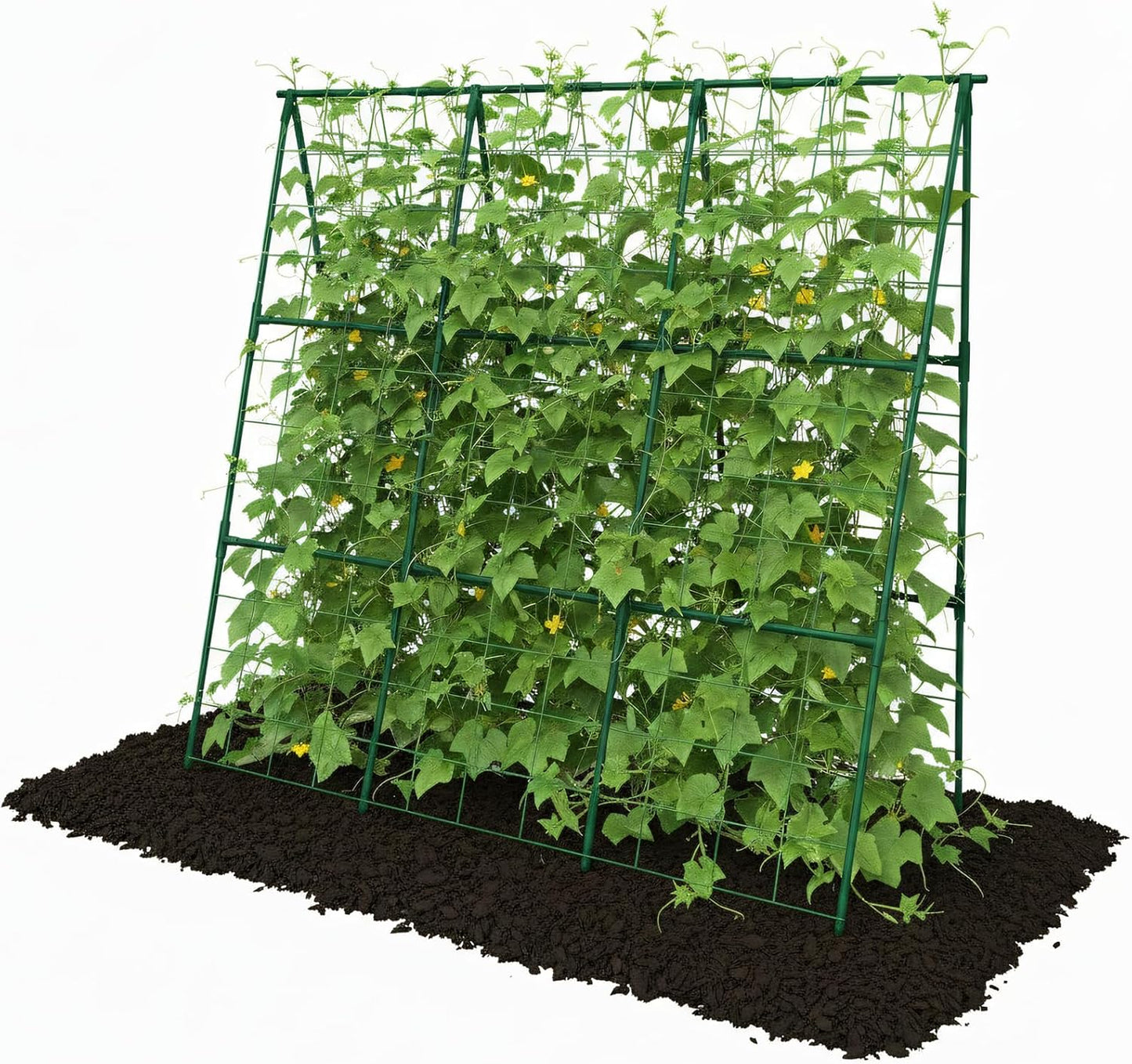 Cucumber Trellis - 49.4"*49.4" Metal Garden Trellis for Climbing Plants, Garden Trellis with Plastic-Coated Steel Pipe, A Frame Trellis for Cucumbers, Peas, Morning Glories(Black)