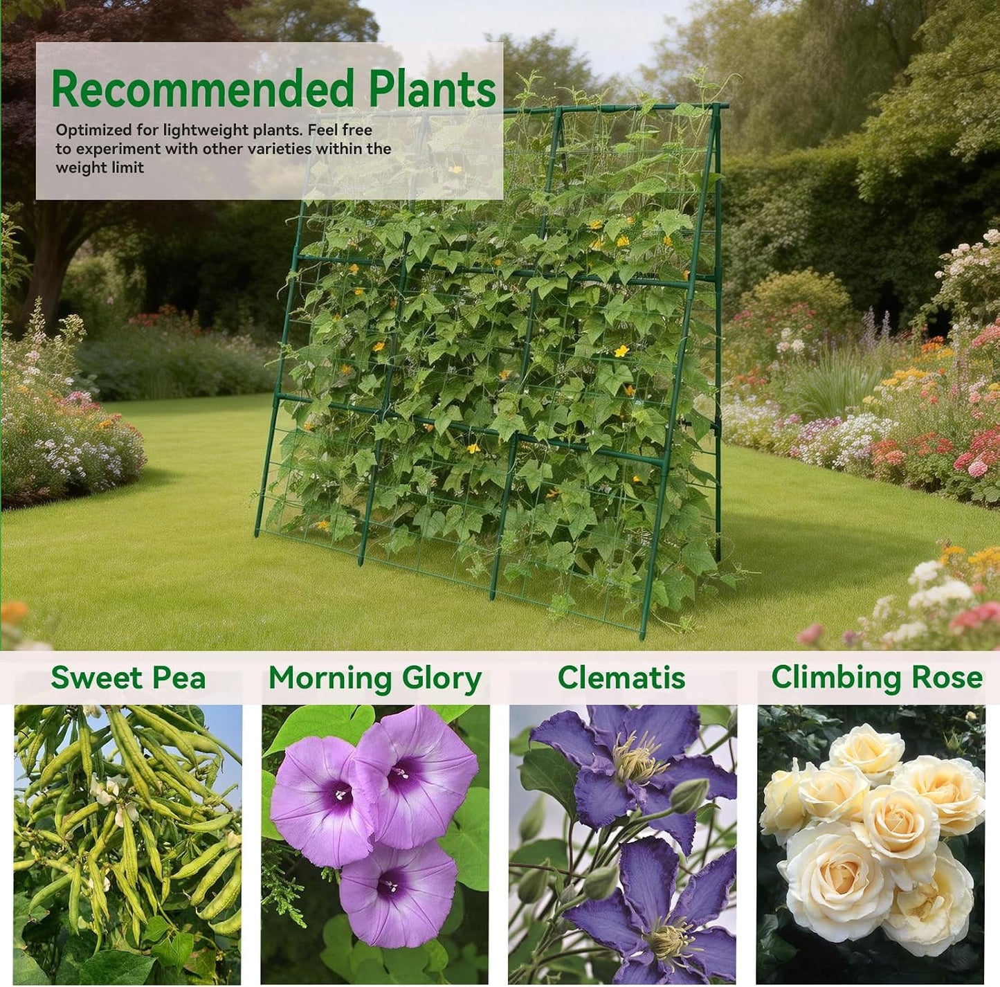 Cucumber Trellis - 49.4"*49.4" Metal Garden Trellis for Climbing Plants, Garden Trellis with Plastic-Coated Steel Pipe, A Frame Trellis for Cucumbers, Peas, Morning Glories(Black)