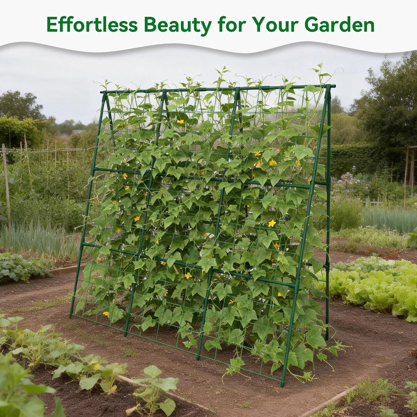 Cucumber Trellis - 49.4"*49.4" Metal Garden Trellis for Climbing Plants, Garden Trellis with Plastic-Coated Steel Pipe, A Frame Trellis for Cucumbers, Peas, Morning Glories(Black)