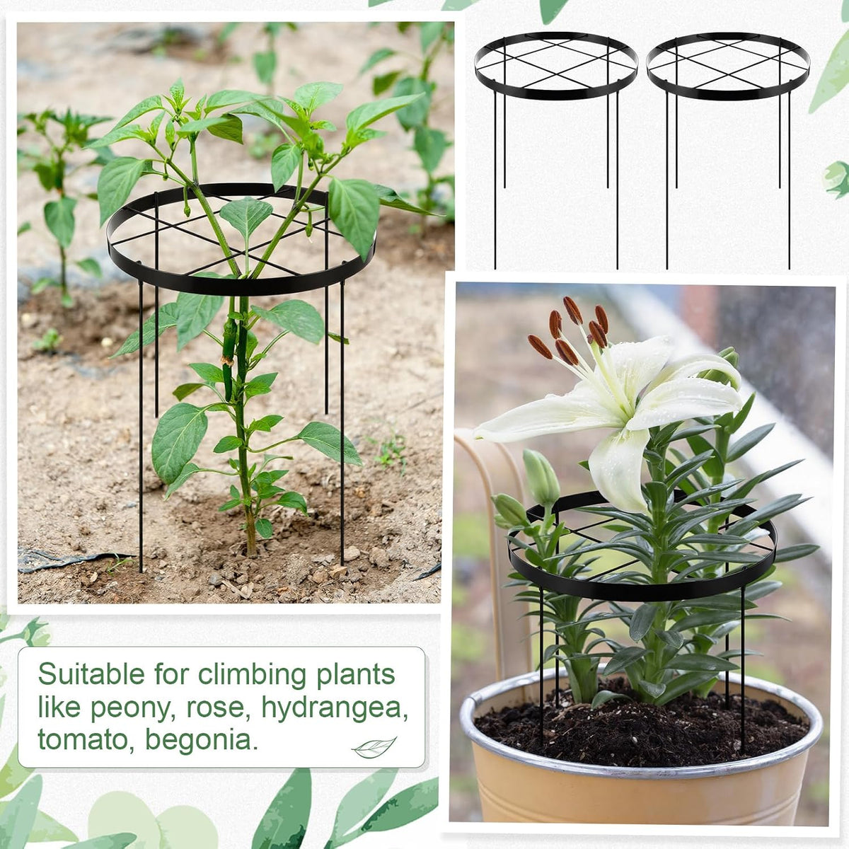 2 Pack 23.6'' x 15.8'' Large Peony Cage and Supports Durable Round Garden Flower Rings Tall Plant Support Stakes Cage for Outdoor Peonies Tomato Enhances Peony Planting Success Secure Grounding