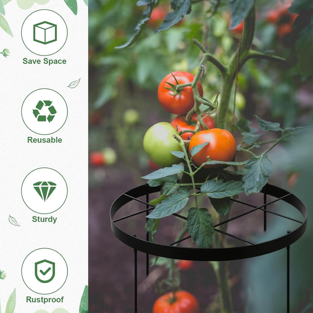 2 Pack 23.6'' x 15.8'' Large Peony Cage and Supports Durable Round Garden Flower Rings Tall Plant Support Stakes Cage for Outdoor Peonies Tomato Enhances Peony Planting Success Secure Grounding