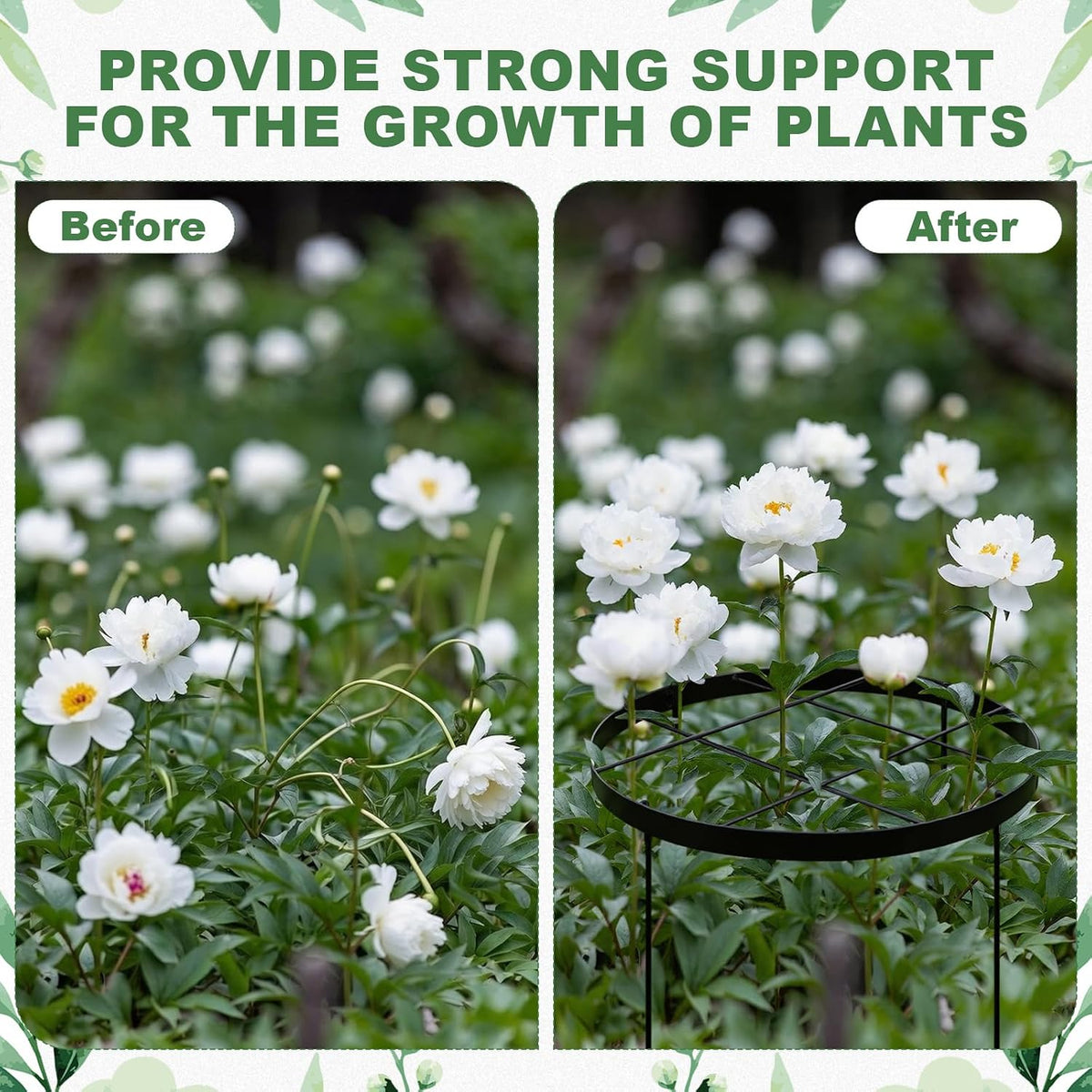 2 Pack 23.6'' x 15.8'' Large Peony Cage and Supports Durable Round Garden Flower Rings Tall Plant Support Stakes Cage for Outdoor Peonies Tomato Enhances Peony Planting Success Secure Grounding